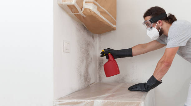 Professional Mold Removal technician working in Burkittsville, MD